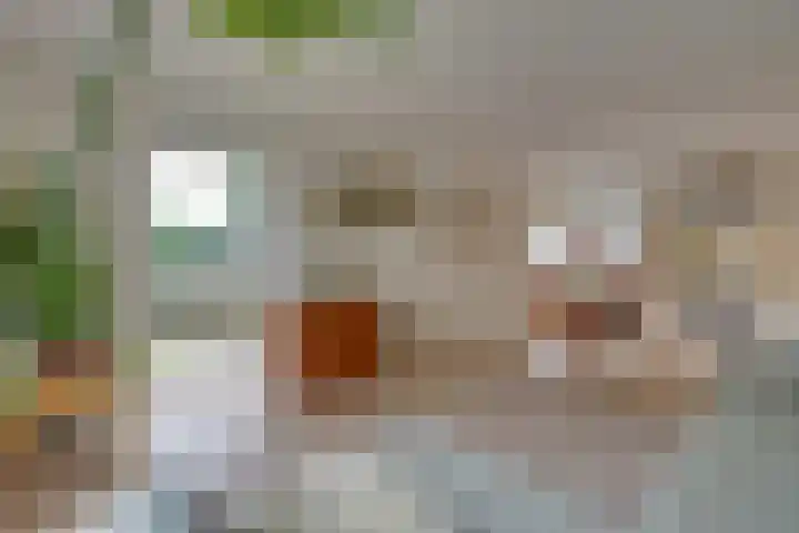 Winterjanpad 88 Amsterdam thumbnail 11