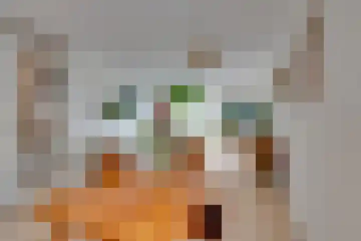 Winterjanpad 88 Amsterdam thumbnail 12