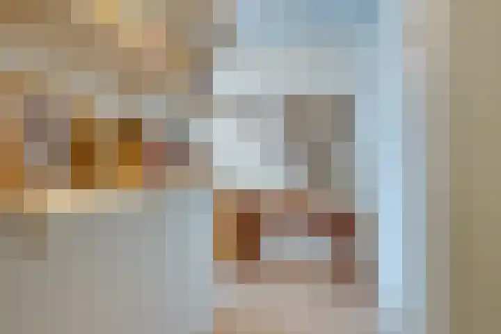 Winterjanpad 88 Amsterdam thumbnail 28