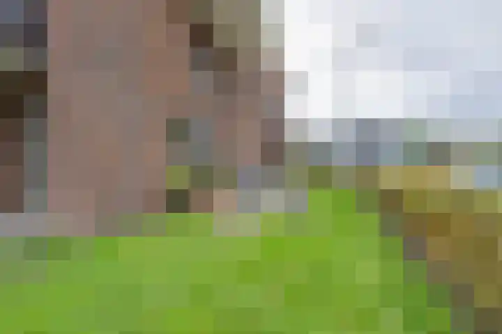 Winterjanpad 88 Amsterdam thumbnail 36