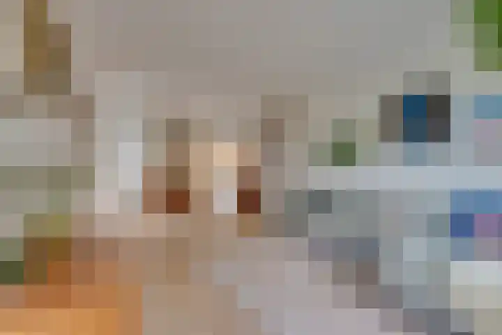 Winterjanpad 88 Amsterdam thumbnail 8