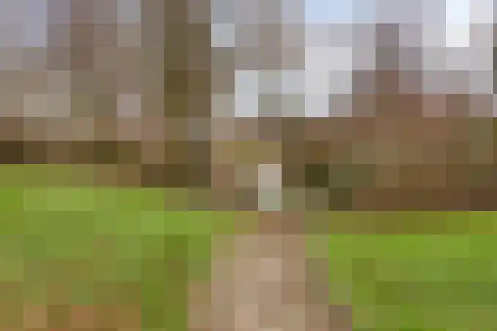 Winterkoning 19 Deventer thumbnail 35
