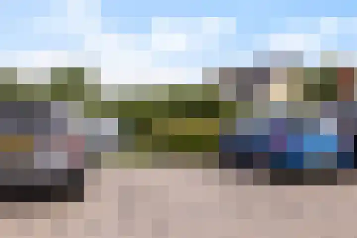 Winterpeil 12 Delfzijl thumbnail 31
