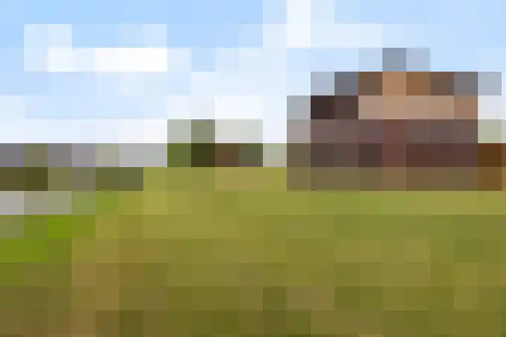Winterpeil 12 Delfzijl thumbnail 33