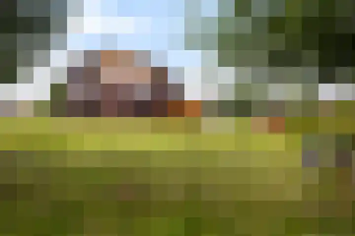 Winterpeil 12 Delfzijl thumbnail 34