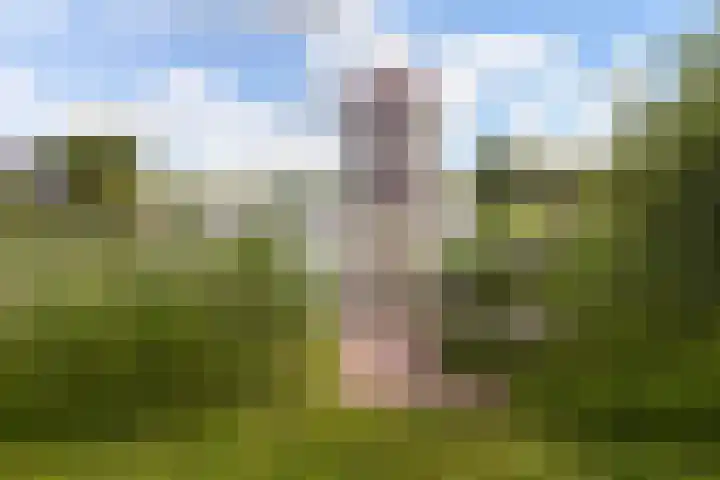 Winterpeil 12 Delfzijl thumbnail 36