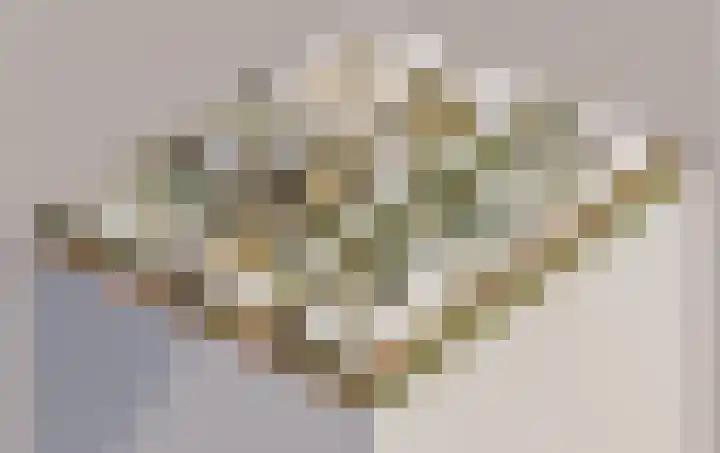 Winterspelenlaan 58 Almere thumbnail 9