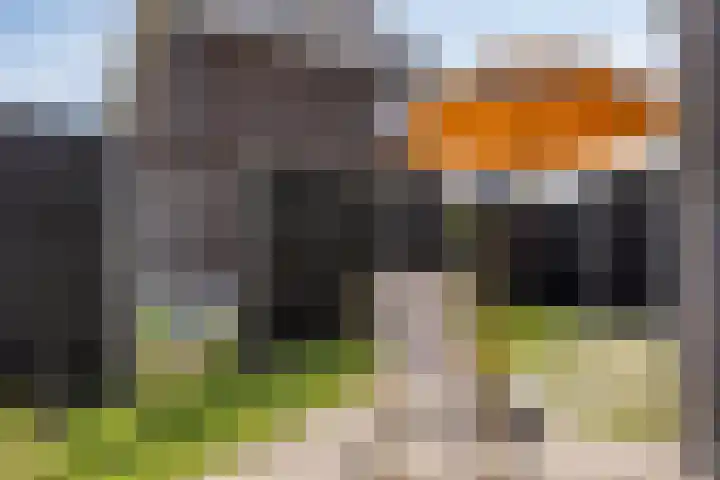 Wintertaling 11 Numansdorp thumbnail 49
