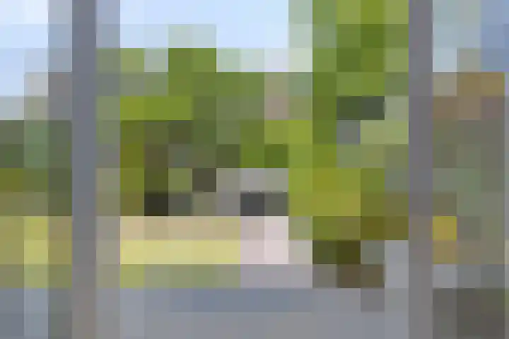 Wintertaling 36 Wijchen thumbnail 26