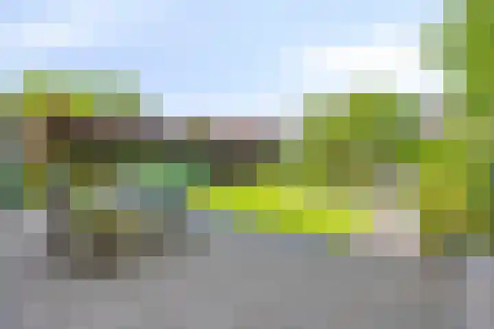 Wintertaling 36 Wijchen thumbnail 27