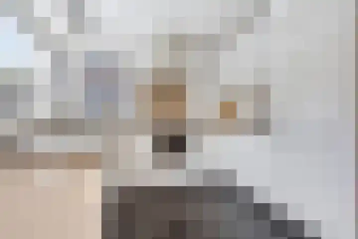 Wintertaling 36 Wijchen thumbnail 8