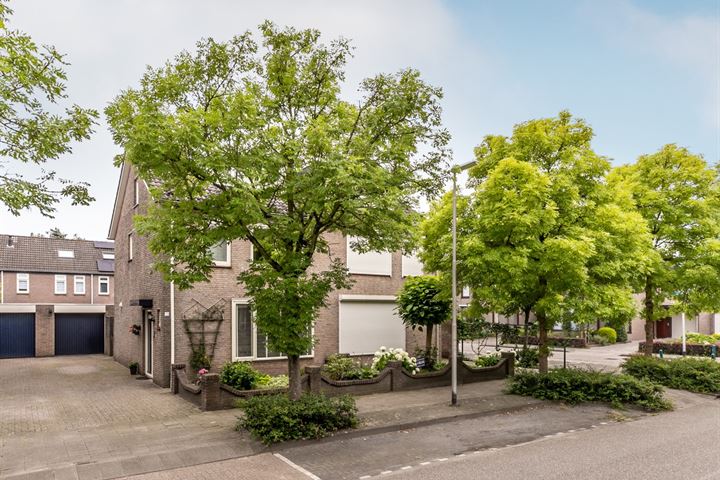 Wintertaling 73 in Etten-Leur foto