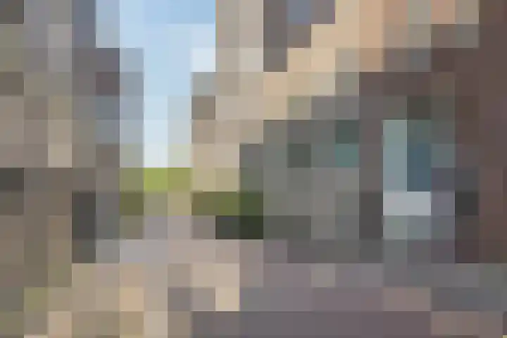 Winthontstraat 10 Amsterdam thumbnail 33