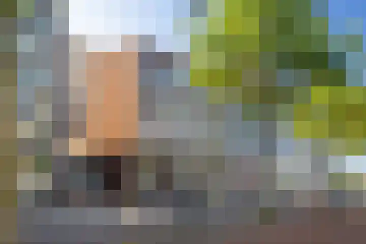 Winthontstraat 10 Amsterdam thumbnail 7