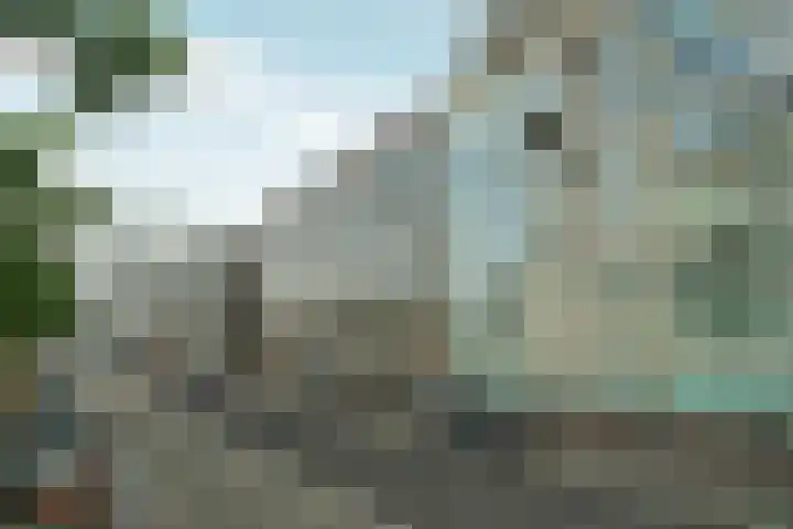 Winthontstraat 54 Amsterdam foto 3