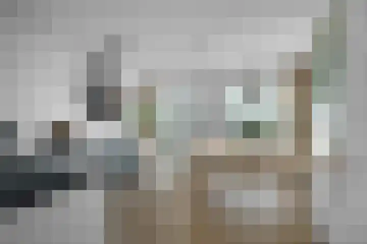 Winthontstraat 54 Amsterdam thumbnail 4