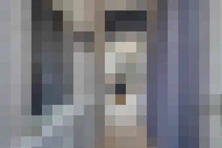 Wipmolen 17 Purmerend thumbnail 11