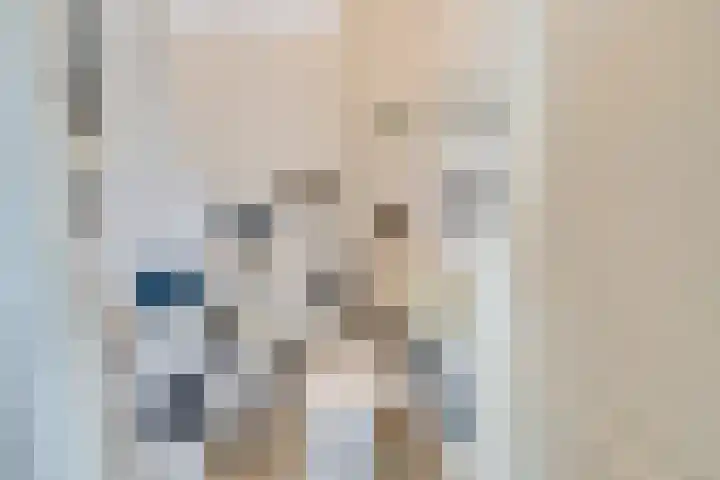 Wipmolen 17 Purmerend thumbnail 12