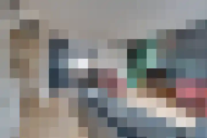 Wipmolen 17 Purmerend thumbnail 18