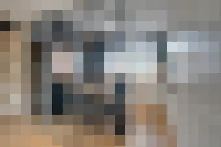 Wipmolen 17 Purmerend thumbnail 21