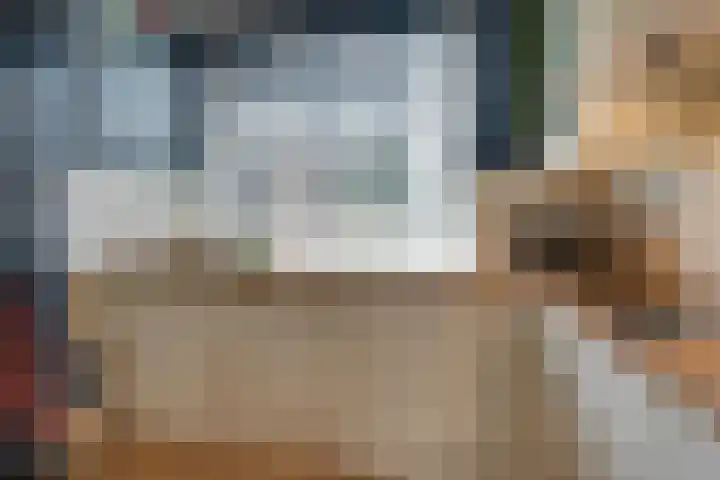 Wipmolen 17 Purmerend thumbnail 23