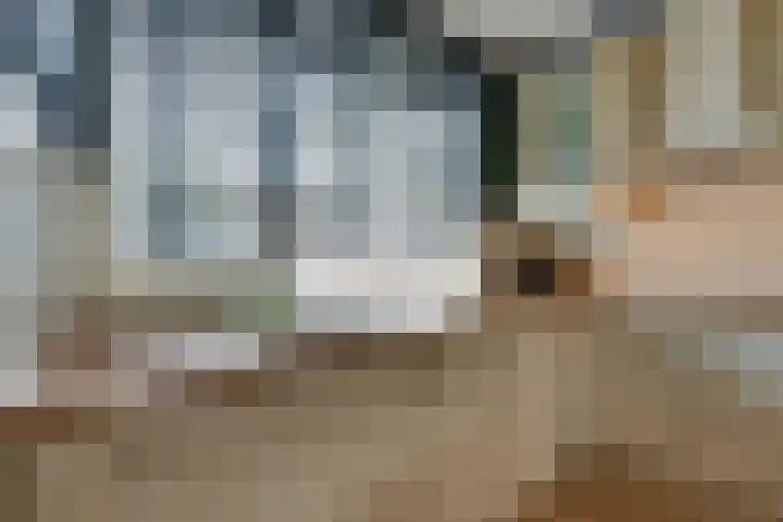 Wipmolen 17 Purmerend thumbnail 24