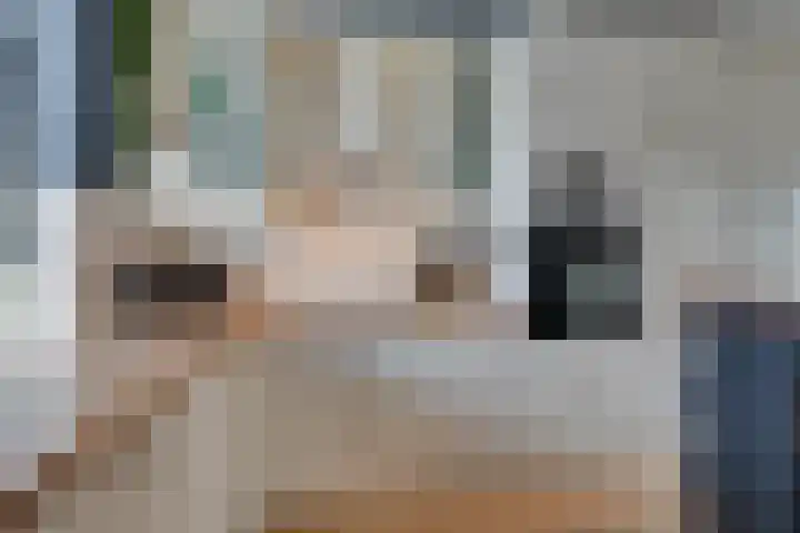 Wipmolen 17 Purmerend thumbnail 25