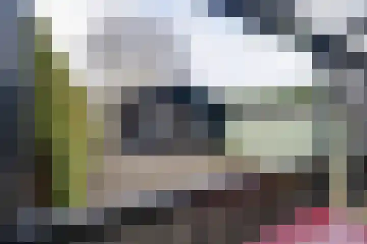 Wipmolen 17 Purmerend thumbnail 28