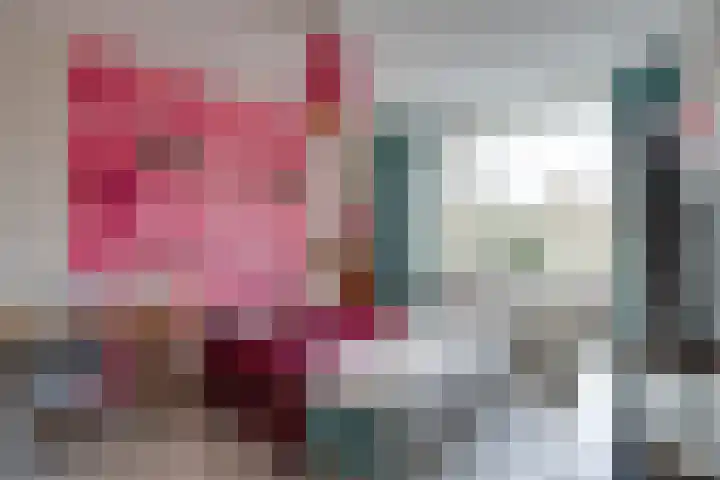 Wipmolen 17 Purmerend thumbnail 33