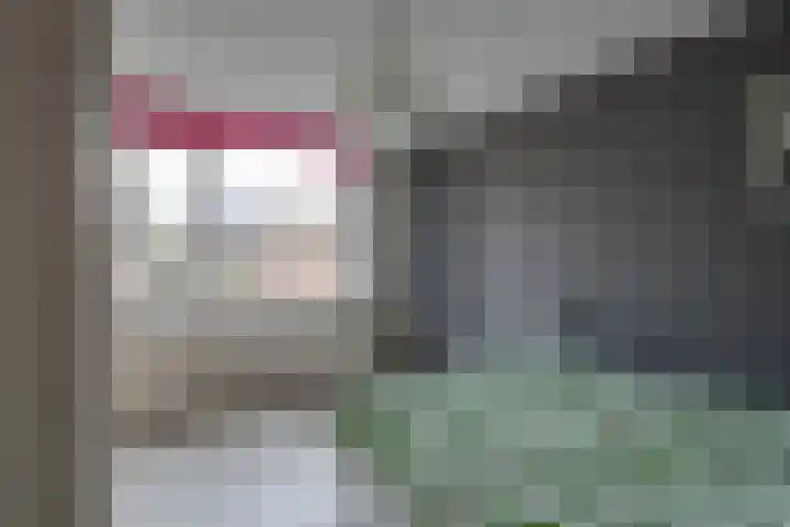 Wipmolen 17 Purmerend thumbnail 36