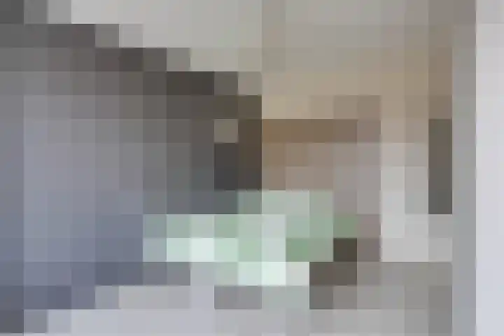 Wipmolen 17 Purmerend thumbnail 39