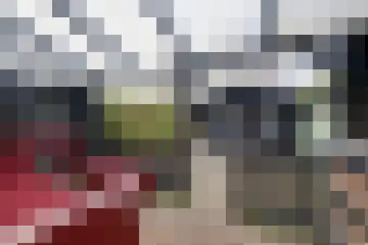 Wipmolen 17 Purmerend thumbnail 4