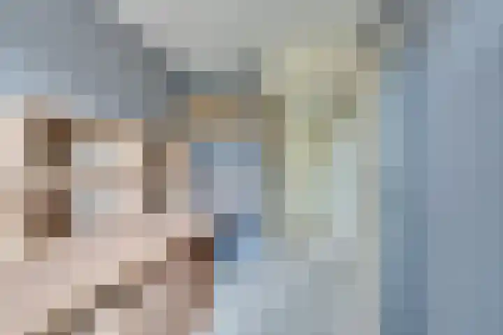 Wipmolen 17 Purmerend thumbnail 41