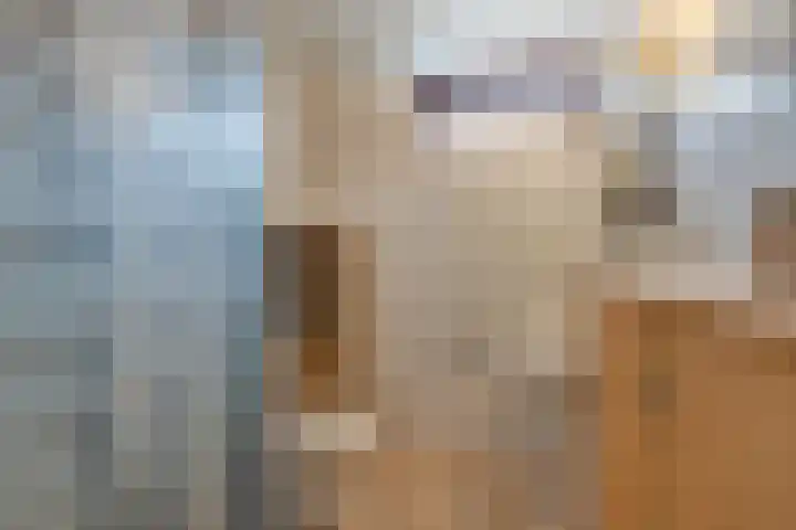 Wipmolen 17 Purmerend thumbnail 42