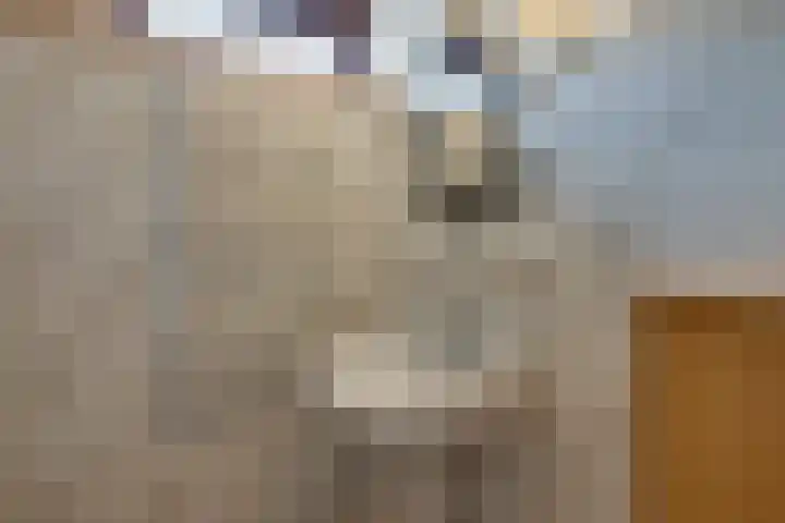 Wipmolen 17 Purmerend thumbnail 43