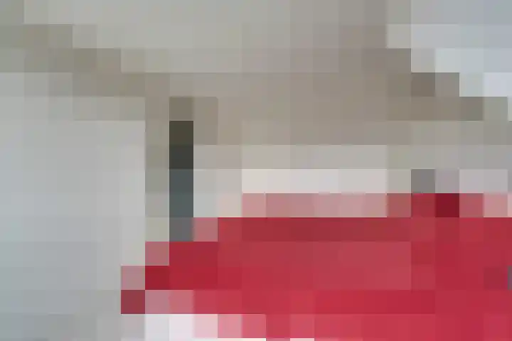 Wipmolen 17 Purmerend thumbnail 47