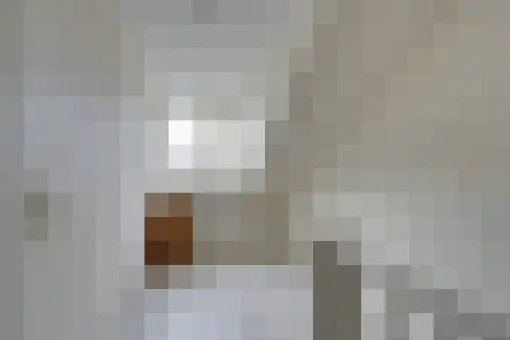 Wipmolen 17 Purmerend thumbnail 48