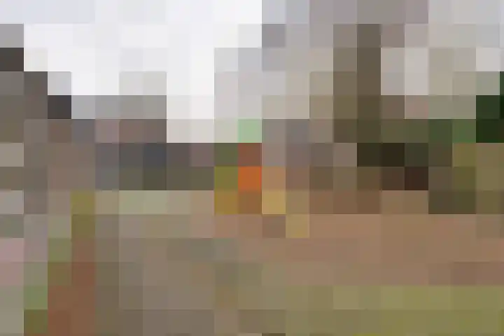 Wipmolen 17 Purmerend thumbnail 50
