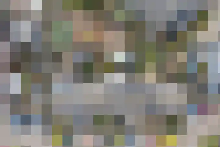 Wipmolen 17 Purmerend thumbnail 51