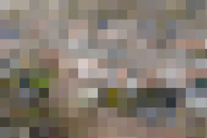 Wipmolen 17 Purmerend thumbnail 53