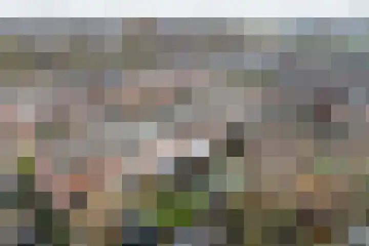 Wipmolen 17 Purmerend thumbnail 8
