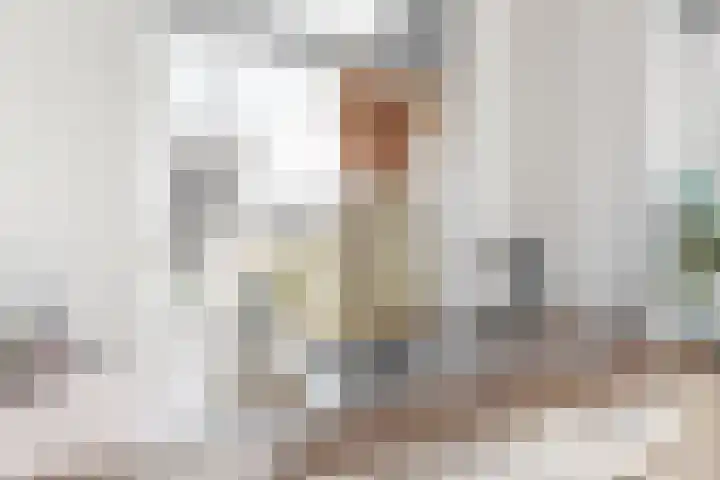 Wipmolen 9 Groot-Ammers thumbnail 12