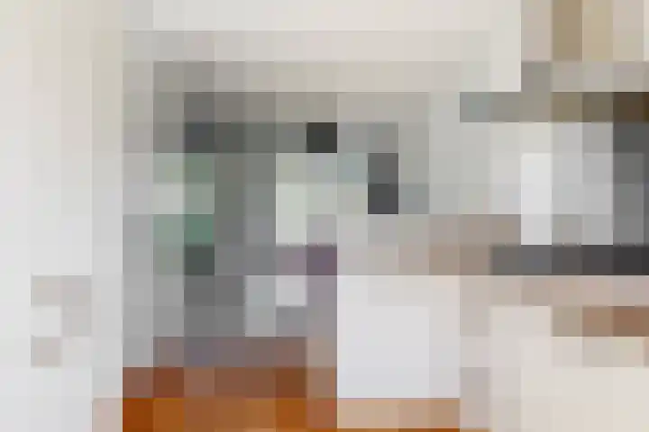 Wipmolen 9 Groot-Ammers thumbnail 14