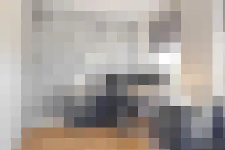 Wipmolen 9 Groot-Ammers thumbnail 17