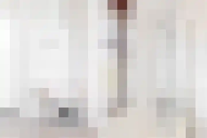 Wipmolen 9 Groot-Ammers thumbnail 20