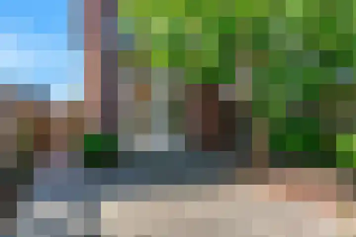 Wipmolen 9 Groot-Ammers thumbnail 28