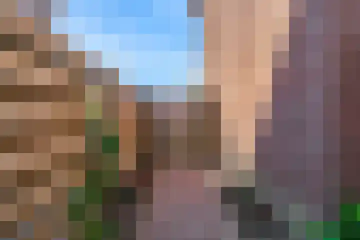 Wipmolen 9 Groot-Ammers thumbnail 29