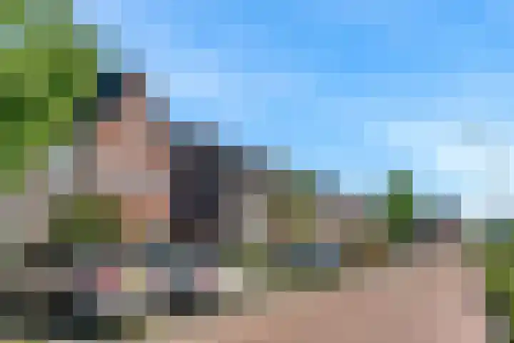 Wipmolen 9 Groot-Ammers thumbnail 31