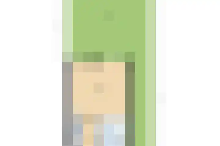 Wipmolen 9 Groot-Ammers thumbnail 36