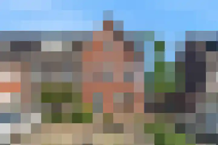 Wipmolen 9 Groot-Ammers thumbnail 4